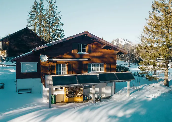 Chapfwald * 艾姆敦